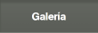 Galería